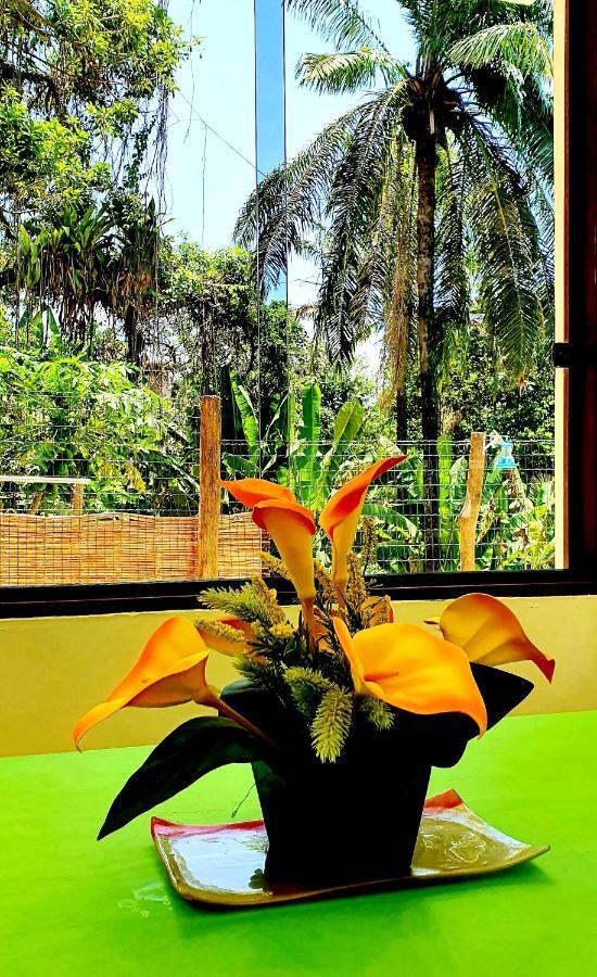 Bela Ipe Pousada Hostel Apart Morro de Sao Paulo Luaran gambar